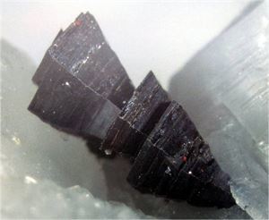 铅锌矿石、不同类型闪锌矿晶体镜下特征